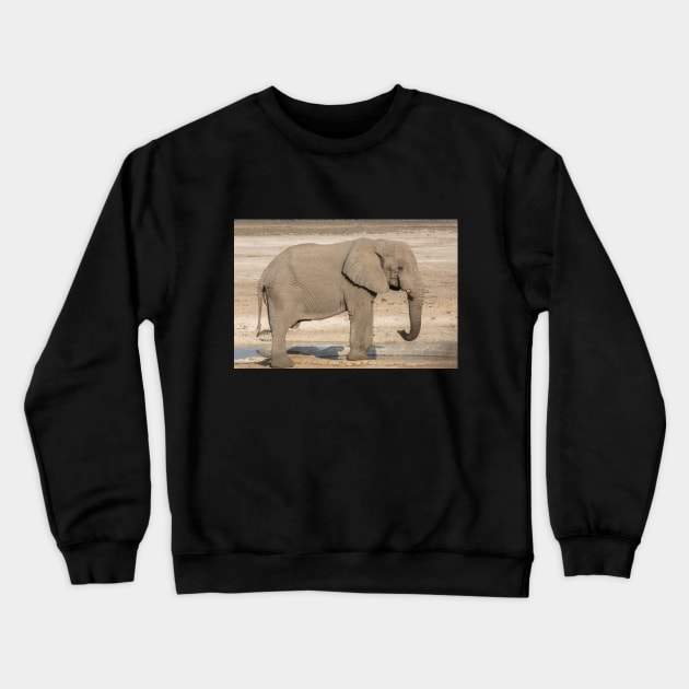 Namibia. Etosha National Park. Elephant at the Waterhole. Crewneck Sweatshirt by vadim19